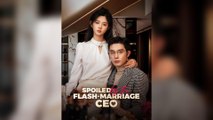 Spoiled By The Flash-Marriage CEO