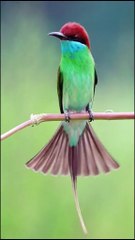 Dalimosan Village Beauty | Natural Vibes