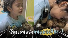 น้องเล่นแรงจนแมวเคือง แม่ต้องสอนให้ขอโทษน้องเหมียว