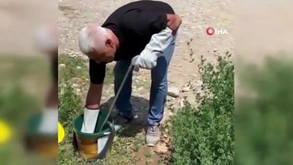 Tuvalette yılan operasyonu... Tuvalete girince ne yapacaklarını şaşırdılar!