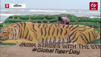 विश्व बाघ दिवस पर रेत कला के जरिए जागरूकता बढ़ाने का प्रयास, देखें वीडियो