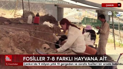 Çankırı’da 9 milyon yıllık fil, gergedan ve zürafa fosilleri bir arada bulundu