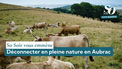 So Soir vous emmène : déconnecter en pleine nature en Aubrac