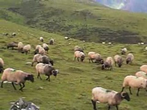 Traversée des Pyrénées - Magique