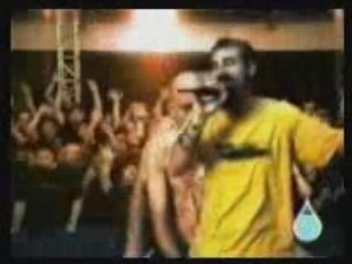 System of a down-chop suey