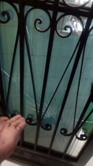 Vídeo: jovem é baleado em lanchonete durante guerra do tráfico no Morro do Fubá