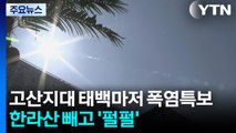 [날씨] 고산지대 태백마저 폭염특보...한라산 빼고 '펄펄' 끓는다 / YTN