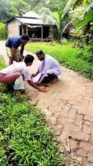 🦜🦜🦜🦜🦜🦜_#foryou_#funny(360p)