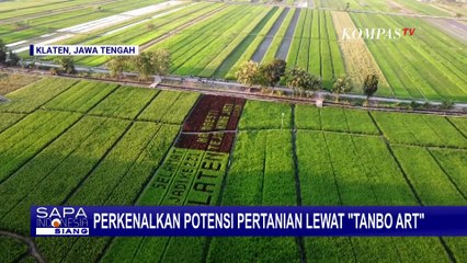 Tanbo Art di Klaten: Cara Unik Petani Muda Kenalkan Pertanian Lewat Seni Sawah | SAPA SIANG