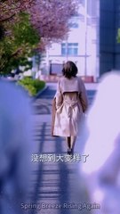Spring Breeze Rising Again chinese drama