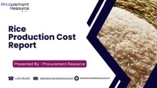 Rice Production Cost Analysis Report