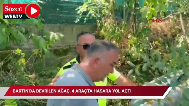 Bartın'da devrilen ağaç, 4 araçta hasara yol açtı
