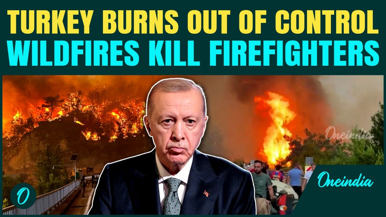 Turkey wildfires—17 dead, volunteers killed, 100 face prosecution | who's to blame for the disaster?