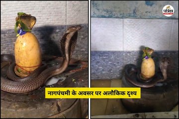 नागपंचमी के अवसर पर अलौकिक दृश्य
