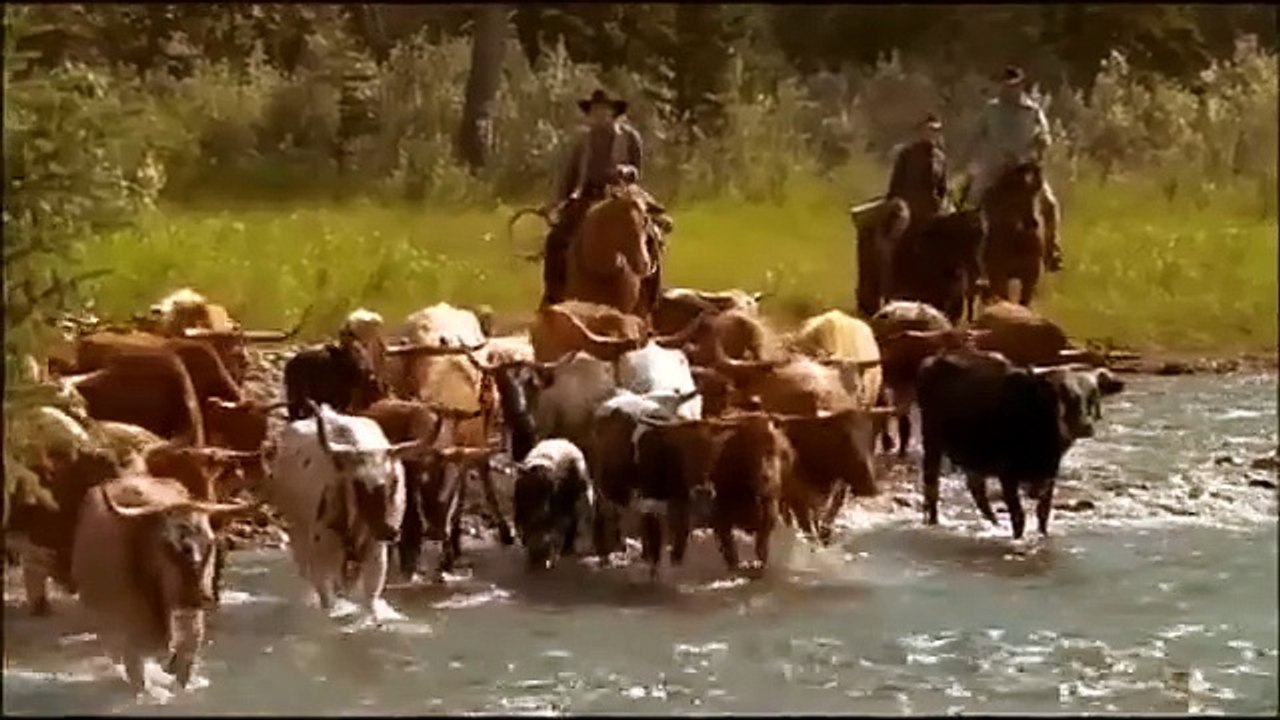 UN PASEO POR LA FELICIDAD (Serie "EN EL VALLE DE LAS ROSAS SILVESTRES,")