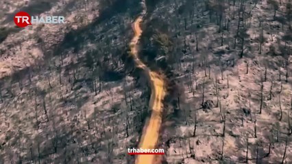 Bir taraf acı bir taraf umut! Bursa'da yanan alanlar havadan görüntülendi