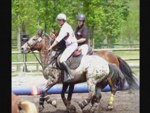 Vidéo Lamotte beuvron H-B 2008 meurchin