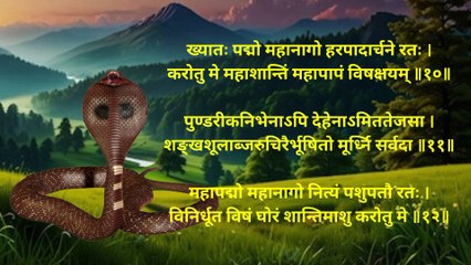 Naag Shanti Stotram | नाग शांति स्तोत्रम् | नाग पंचमी के दिन अवश्य सुनें #naagpanchami