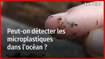 Enora Prado, chercheuse à l'Ifremer : « On retrouve du plastique partout »