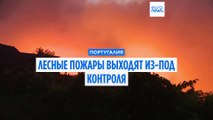 Португалия борется с лесными пожарами. Пока огонь одерживает верх