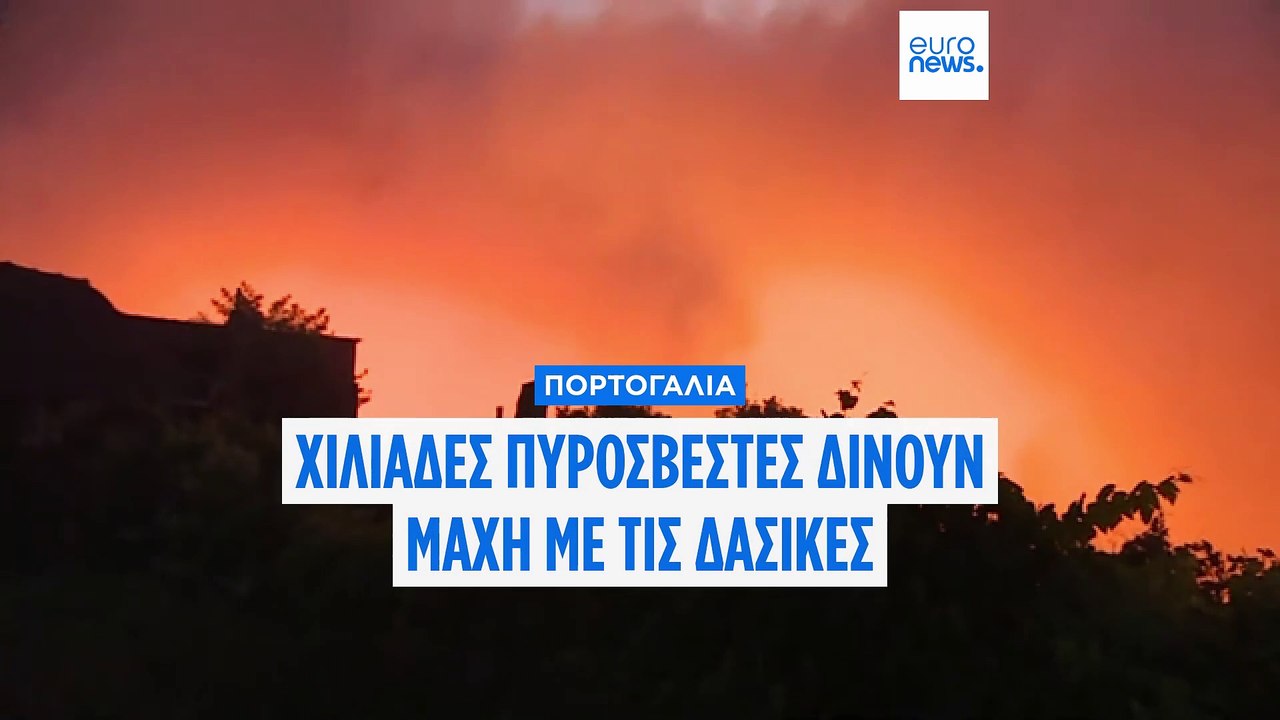 Δεκάδες δασικές πυρκαγιές στην Πορτογαλία - Στη μάχη 2.000 πυροσβέστες