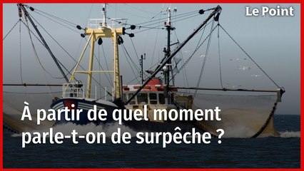 À partir de quel moment parle-t-on de surpêche ?