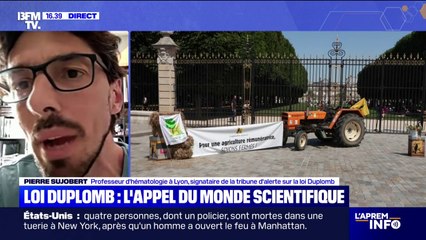 Loi Duplomb: "Le monde de la science et de la médecine a été complètement absent dans le processus d'élaboration de la loi", alerte ce professeur d'hématologie