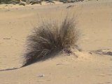 Sardegna - Piscinas tra dune e vecchie miniere