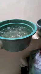 Rumah bocor gara gara kucing