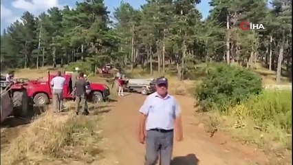 Çankırı’daki orman yangınına havadan ve karadan müdahale ediliyor