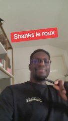 Digital Painting Shanks (One Piece)