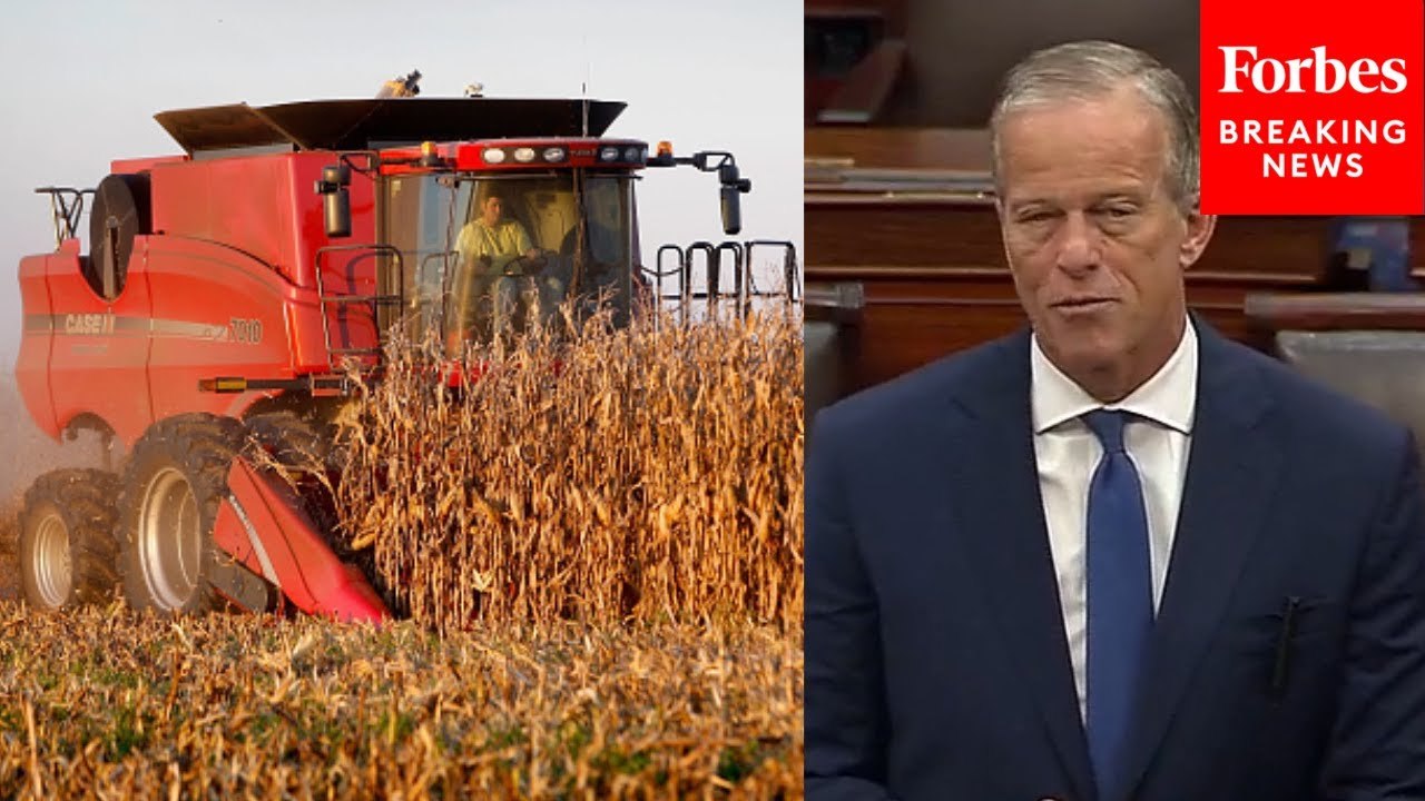 John Thune Touts Provisions For Farmers And Ranchers In Big Beautiful Bill