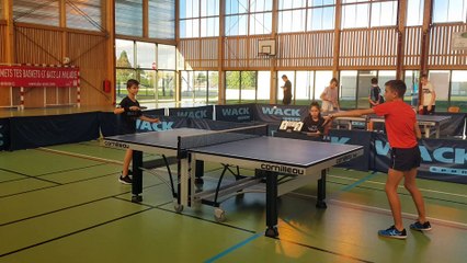 Critérium Fédéral de Tennis de Table à Nogent le 10/10/20 - Départemental 2 - Zone B