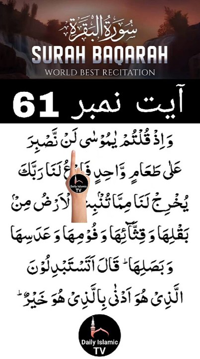 Al-Quran - Surah 2 - Al-Baqara - Ayah 61 | daily islamic tv