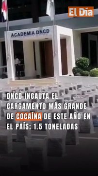 DNCD incauta el cargamento más grande de cocaína de este año en el país; 1.5 toneladas