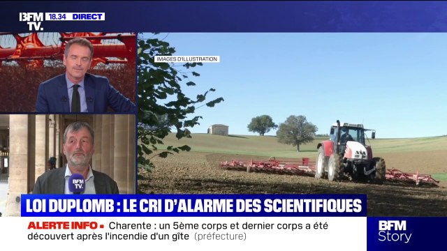 Loi Duplomb: Nous sommes dans un moment très particulier de déni scientifique , dénonce Daniel Salmon, sénateur Écologiste, Solidarité et territoire