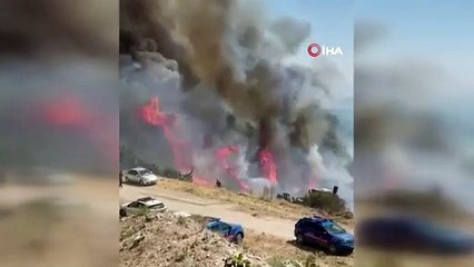 Manisa’daki orman yangını kontrol altına alındı