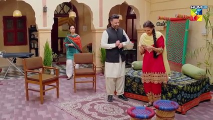 Ism e Yaraan Episode 27_29th_July_2025_[Shahbaz_Shigri,_Zainab_Shabbir____Azfar_Rehman]_-_HUM_TV(360p)