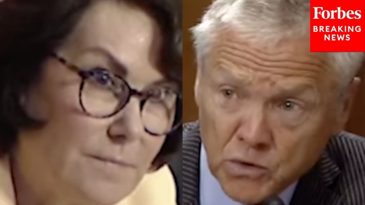 'You Don't Think We Need The Employees That Were Let Go?': Rosen Grills  Trump Nom Over Staff Cuts