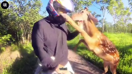 Incredible Moments Caught on Camera