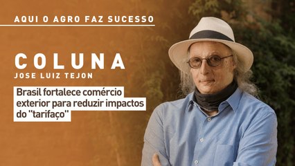 Aqui o agro faz sucesso: Brasil fortalece comércio exterior para reduzir impactos do "tarifaço"