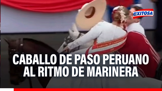 Gran Parada Cívico Militar: El caballo de paso peruano arma espectáculo al ritmo de marinera
