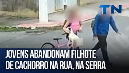 Jovens abandonam filhote de cachorro na rua na Serra; câmeras registram o ato