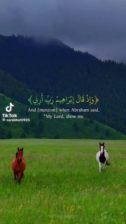 Surah Al-Baqarah Recitation | Muhammad Dibirove