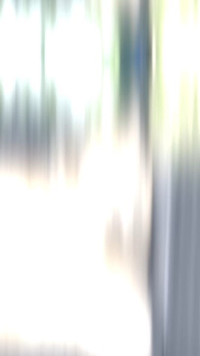 CAP OU PAS CAP ? 😏🐻‍❄️💛🐕