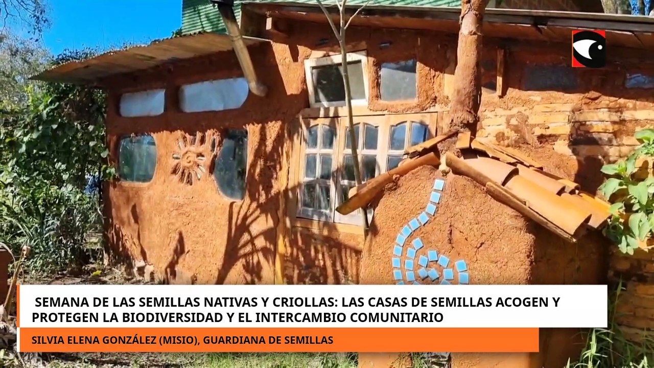 Semana de las Semillas Nativas y Criollas las casas de semillas acogen y protegen la biodiversidad