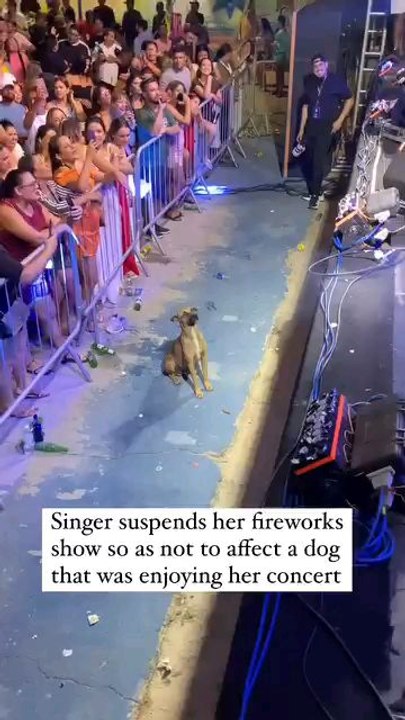 Brazilian singer Tasty Girl left her fans speechless during a concert when she made an unexpected decision: She suspended the fireworks show she had planned to protect a homeless dog who was attending the show.