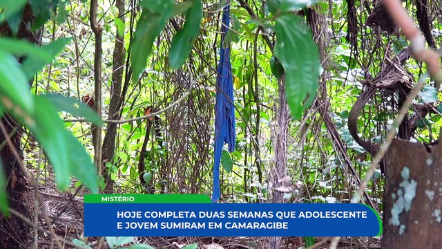 Buscas intensas na Mata do Privé: o angustiante desaparecimento de jovens em Camaragibe