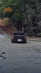 Crocodilo é arrastado por carro em travessia de rio na Austrália