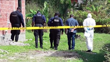 Criminologist Daurius Figueria Warns: New Crime Plan Won't Solve the Issue 🚨